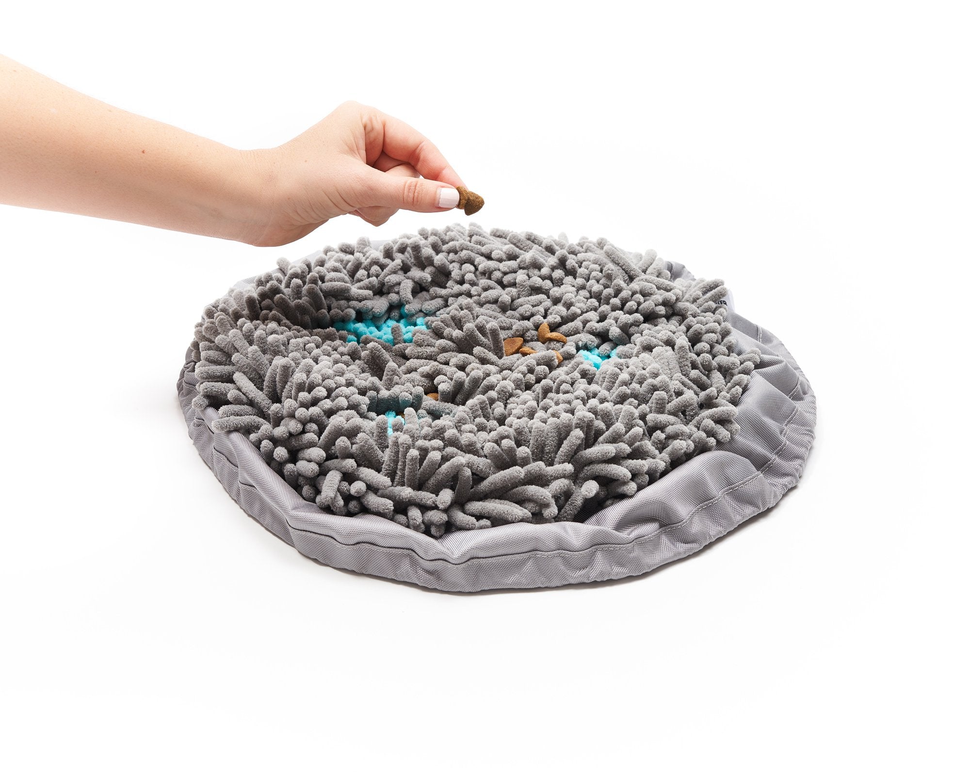 Should You Use a Slow Feeder Dog Bowl?