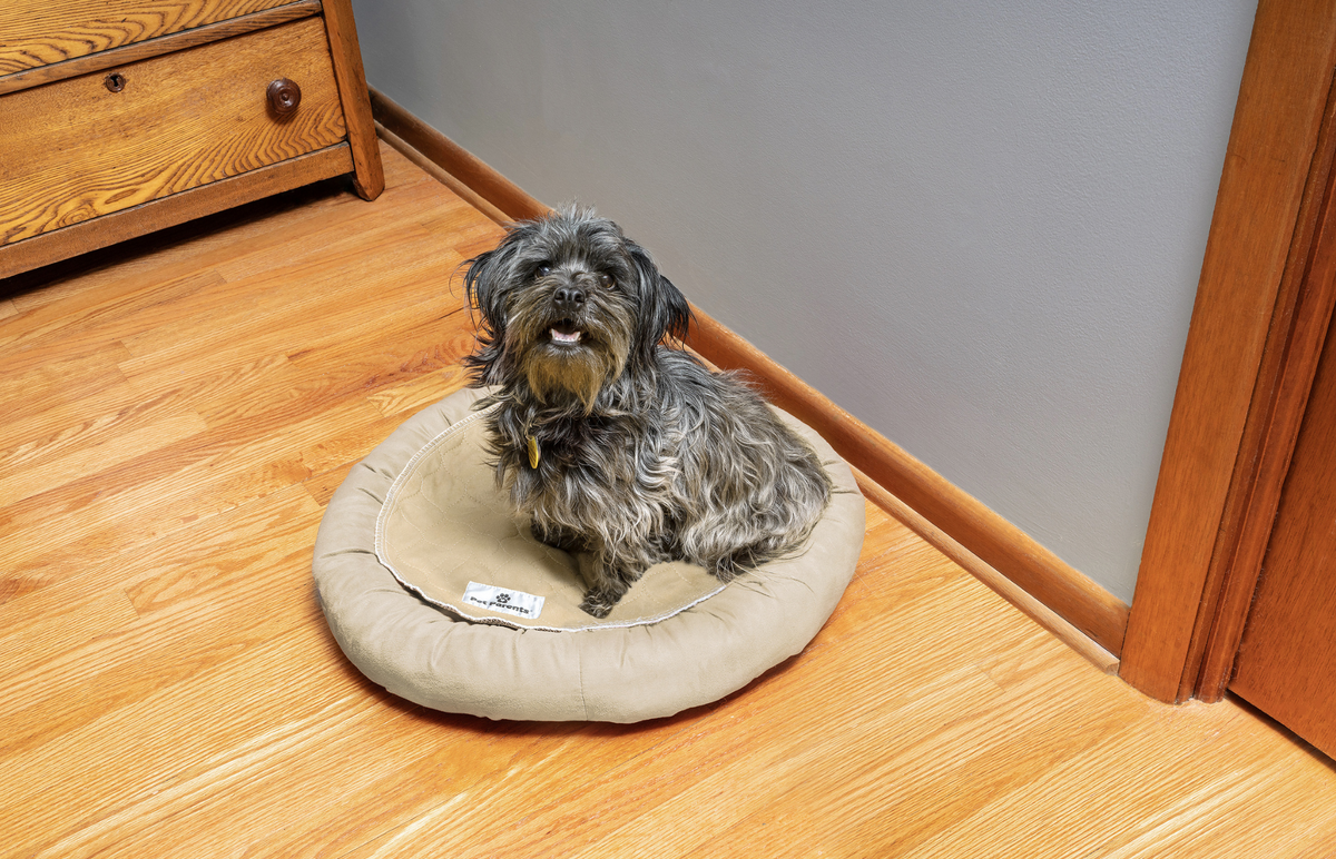 Dog clearance bathroom pads