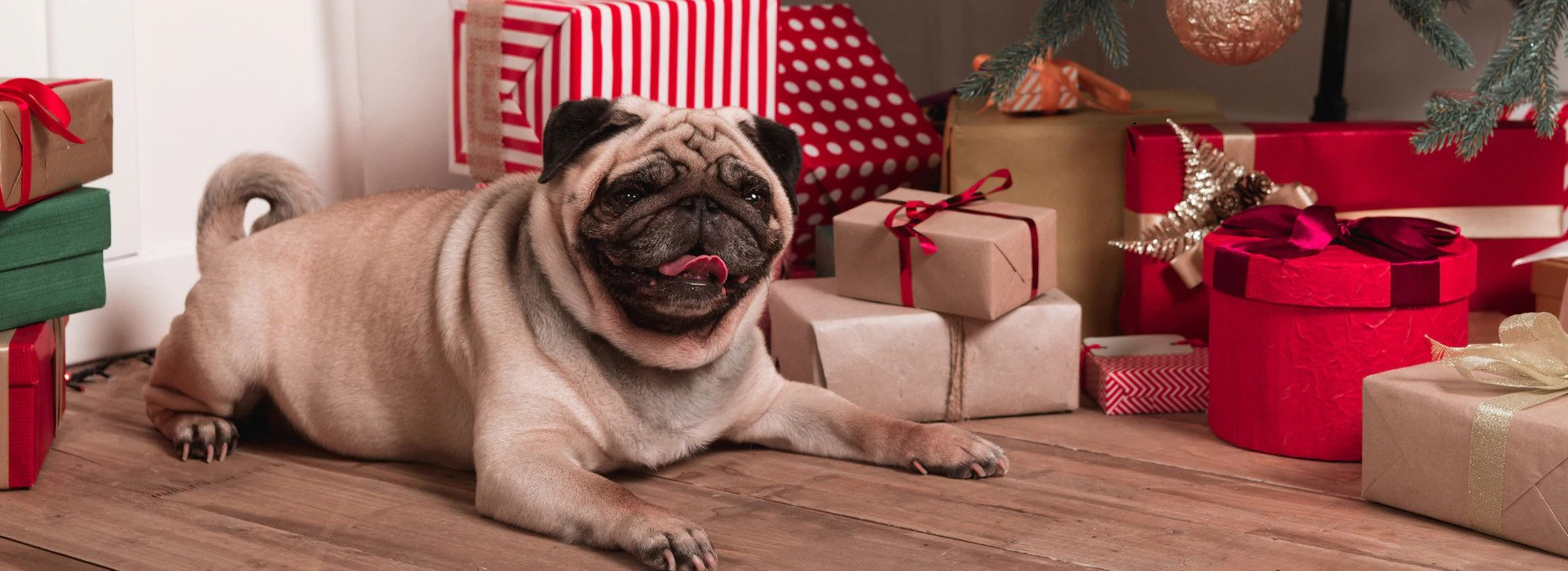 Holiday Pet Safety