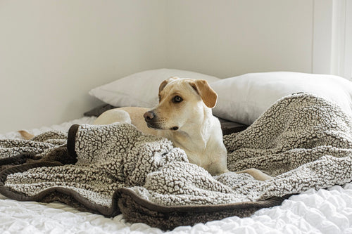 Article feature image