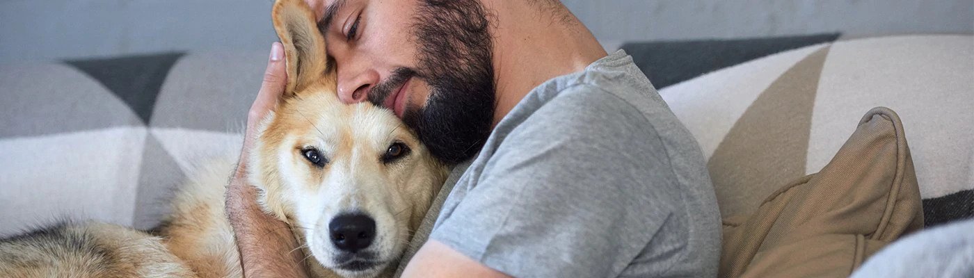 What to do for your dog’s digestive health