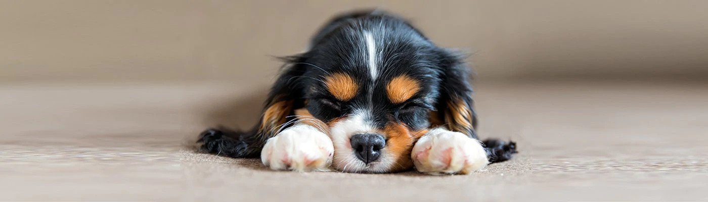 Menstrual Waste and Infections That Can Come With It