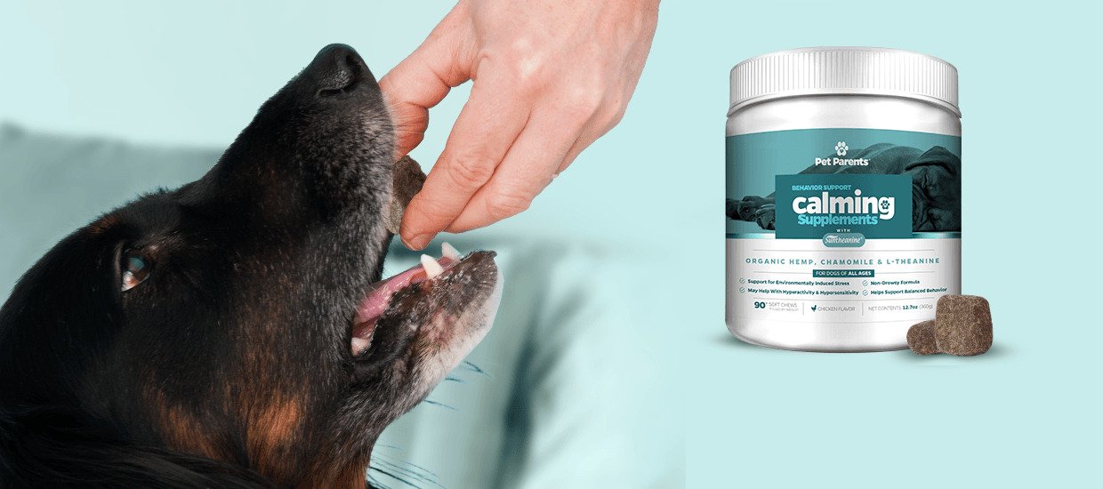 do calming treats work for dogs