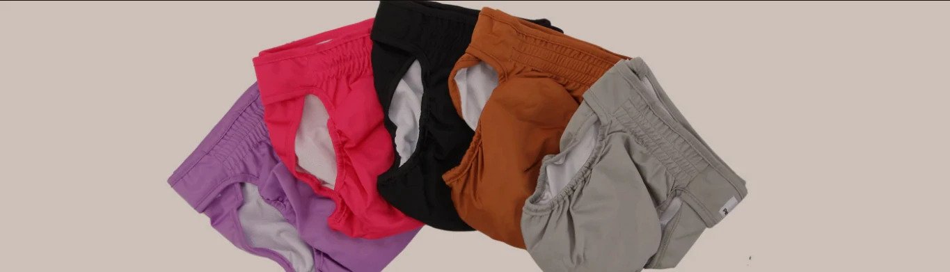 puppy diarrhea diaper, diarrhea in dogs