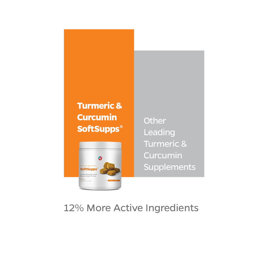 Turmeric & Curcumin SoftSupps®