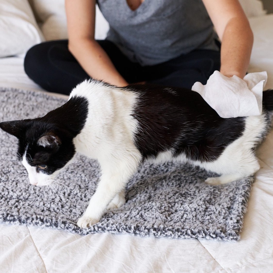 Cat All Purpose Pet WiPees™