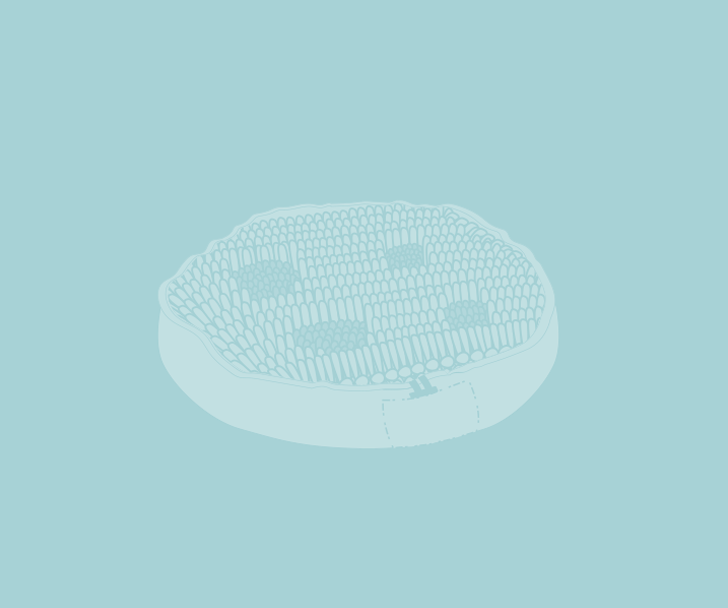 featureRightForager Bowls