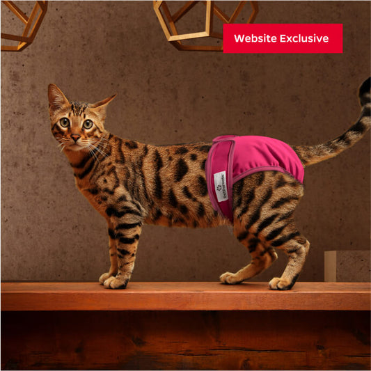 Cat Diapers (3-Pack)