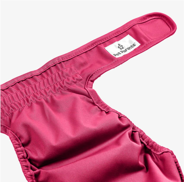 Cat Diapers (3-Pack)