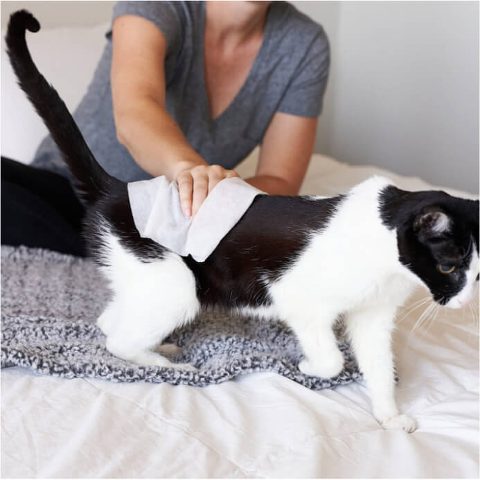 Cat All Purpose Pet WiPees™