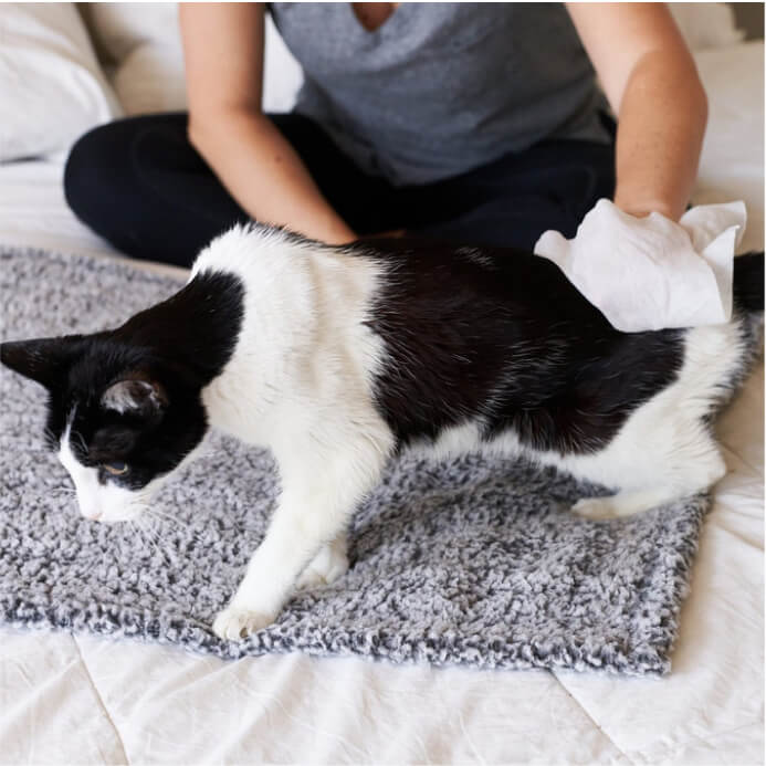 Cat All Purpose Pet WiPees™