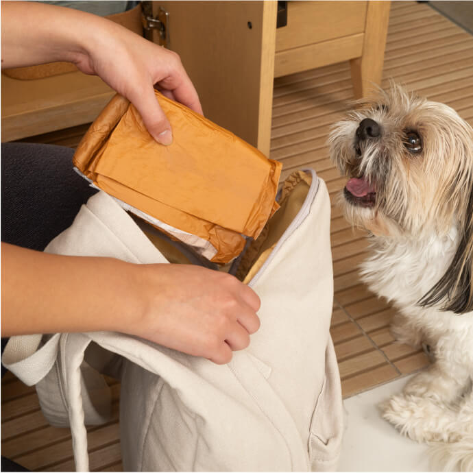 DiPees™ Disposable Belly Bands