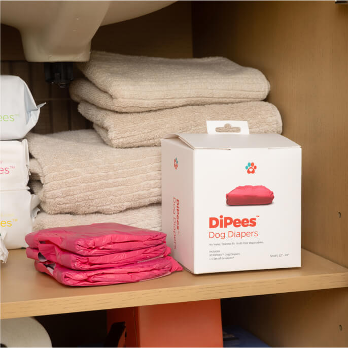 DiPees™ Disposable Dog Diapers
