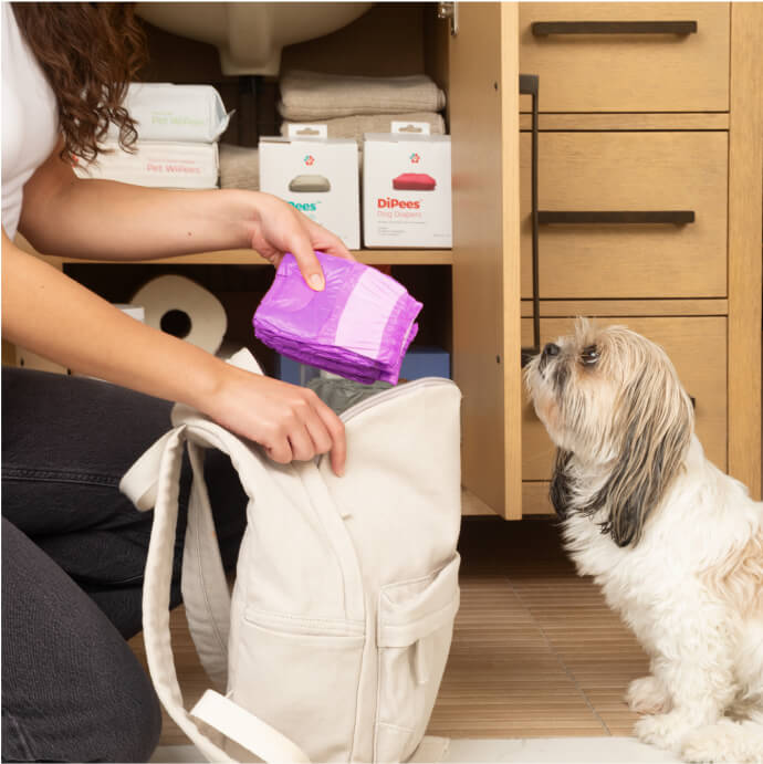 DiPees™ Disposable Dog Diapers