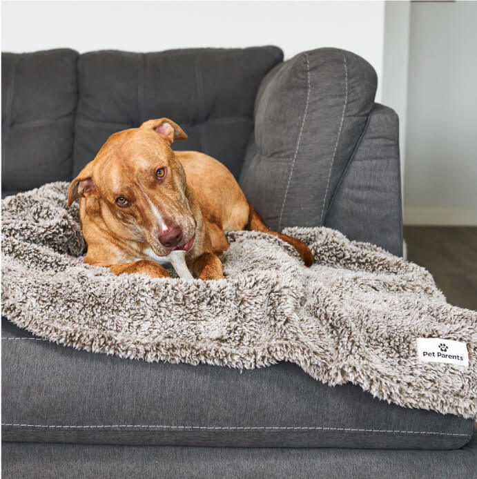 Pet Blanket Water Resistant Cat Dog Blanket