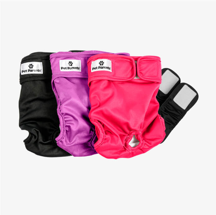 Dog Diapers (3-Pack) + Extendrs®