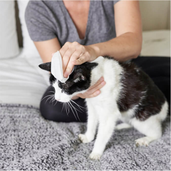 Eye Pet WiPees™