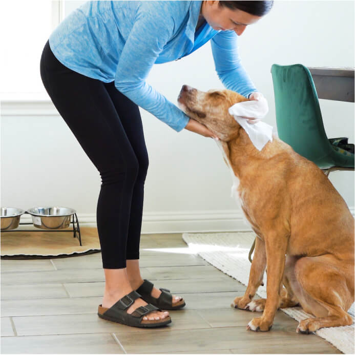 Flea & Tick Pet WiPees™