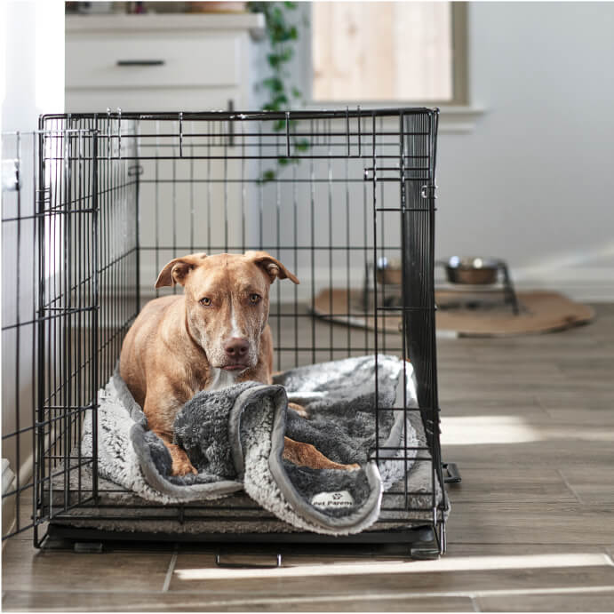 Pawtect® Blanket