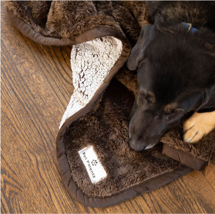 Pawtect® Blanket