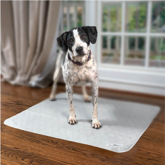 Pawtect® Pads Washable Pee Pads for Pads Puppy Pads Dog Pee Pads