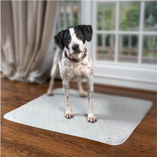 Pawtect® Pads (2pack)