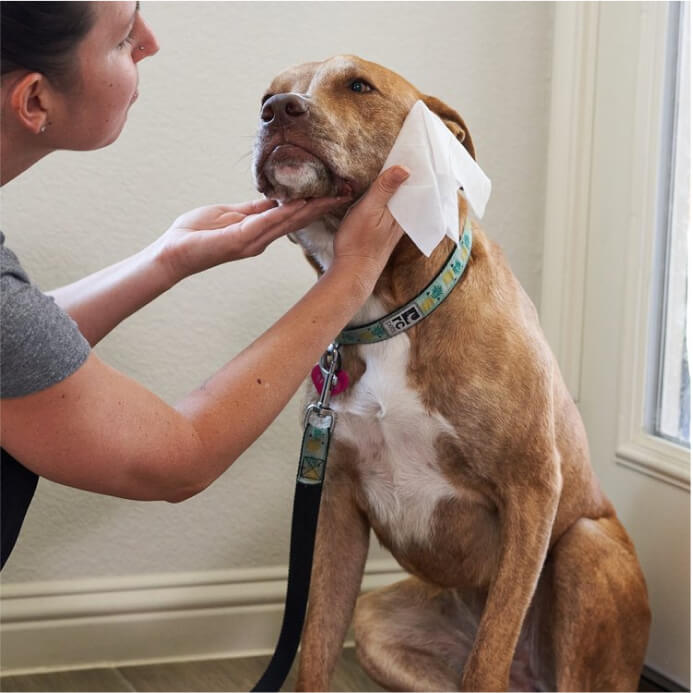 Dog All Purpose + Skin & Coat Pet WiPees™