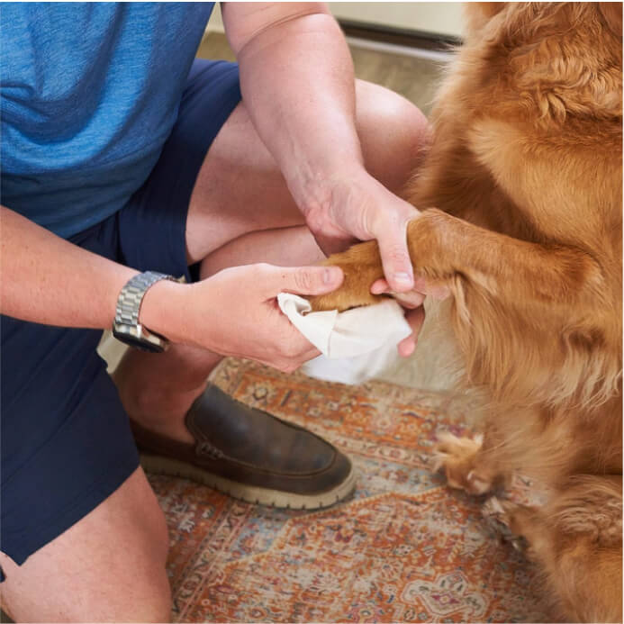 Dog All Purpose + Skin & Coat Pet WiPees™