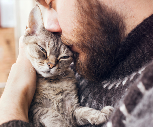 men-love-cat