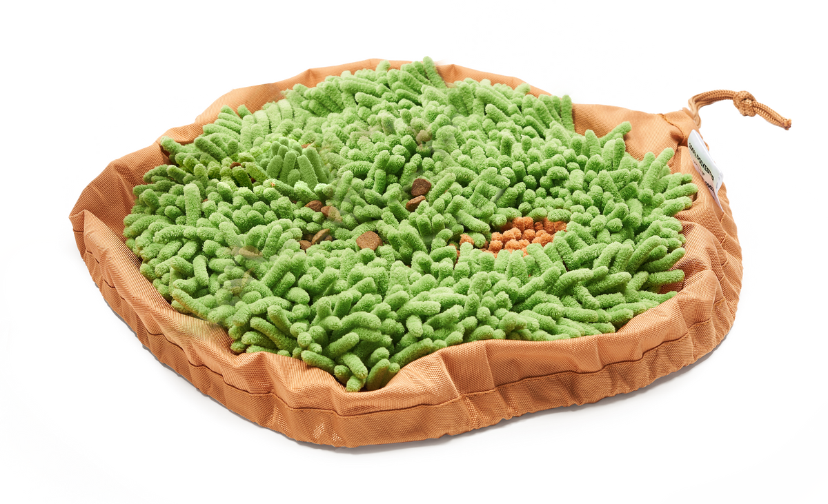 PET PARENTS Forager Snuffle Mat & Slow Feeder Dog Bowl, Meadow Ponds 