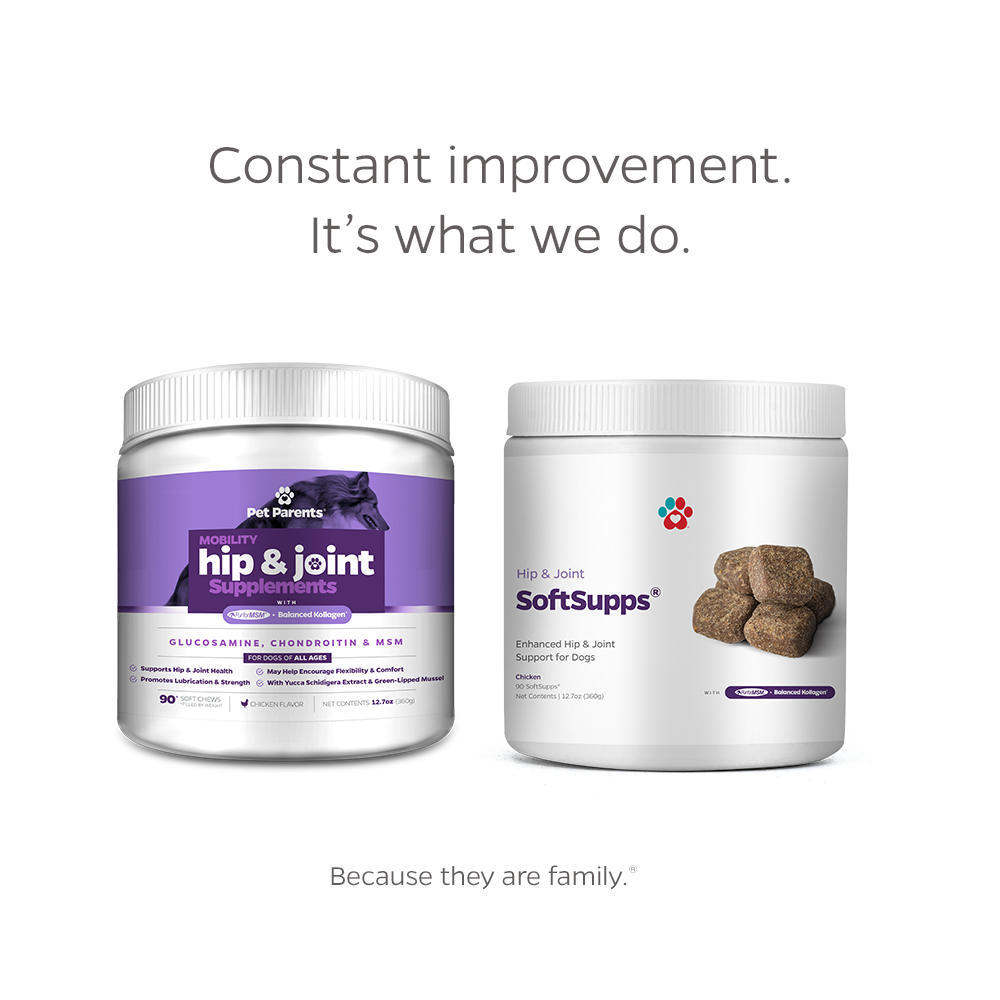 Hip & Joint SoftSupps®