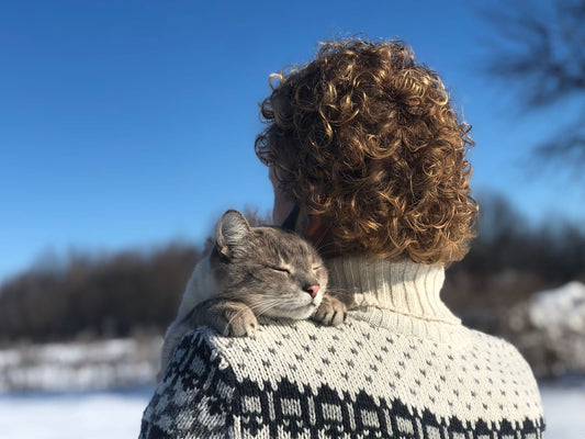 The Pet Parents® Guide to Separation Anxiety in Cats