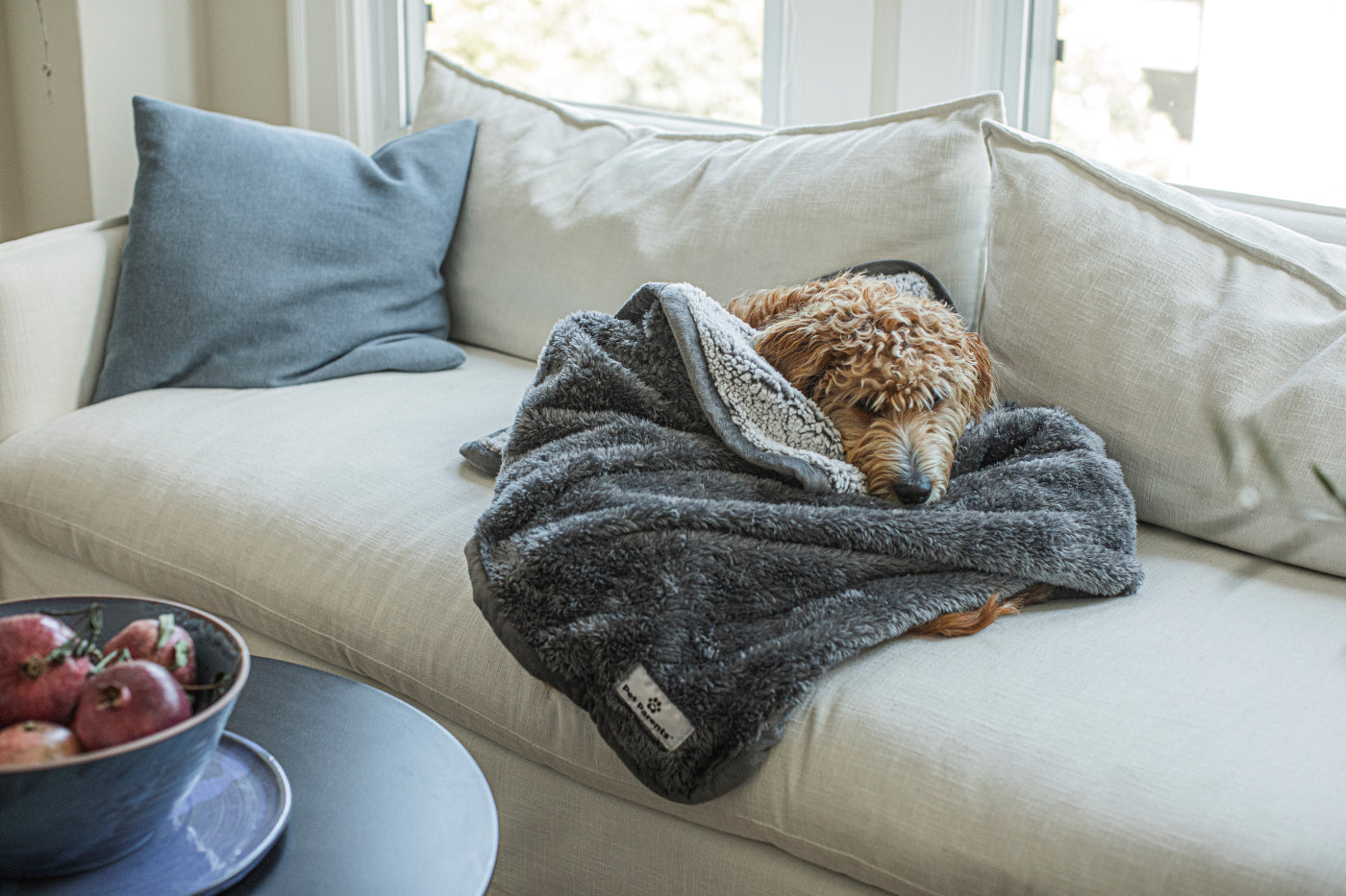 Difference Between Pet Parents® Pawtect® Blankets and Pawtect® Pads