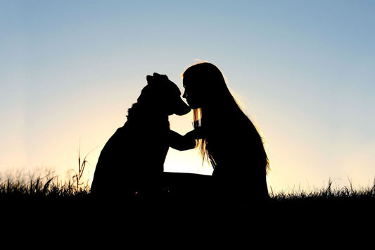 The Pet Parents® Guide for First Time Dog Owners
