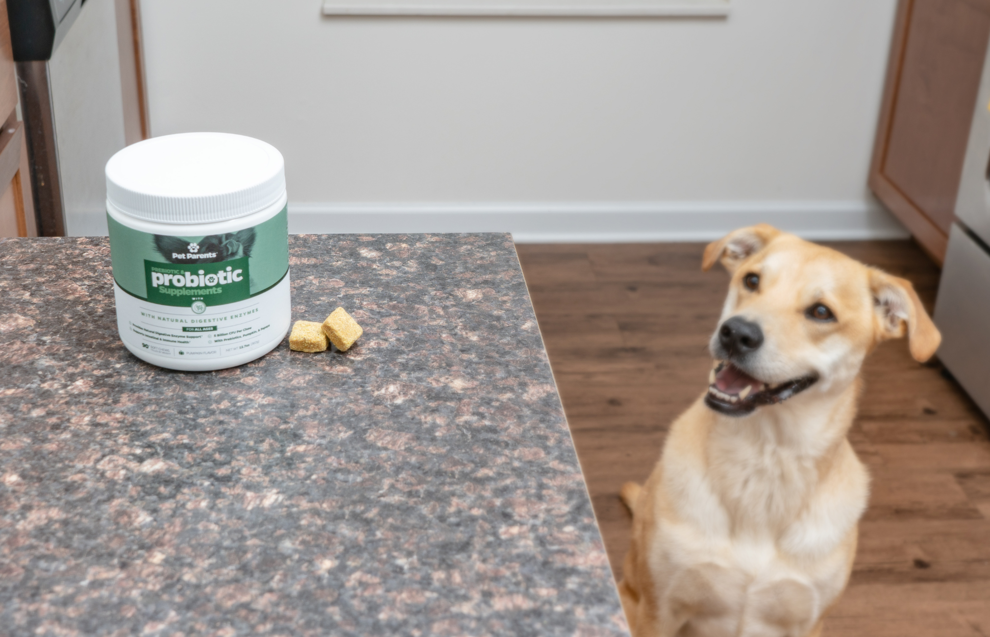 Benefits of Probiotics for Dogs: Dog Probiotic Chews