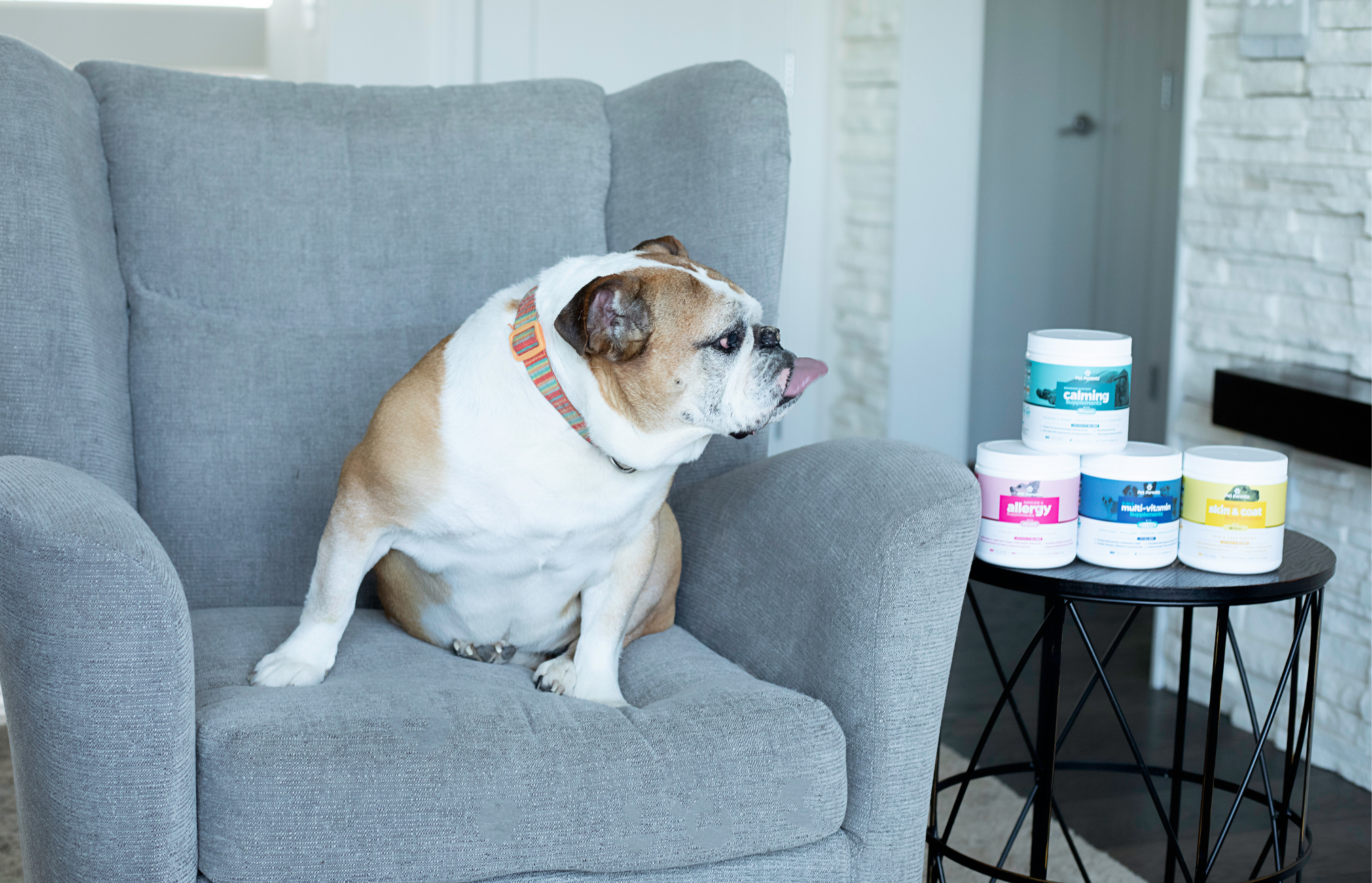 Different Kinds of Supplements for Dogs