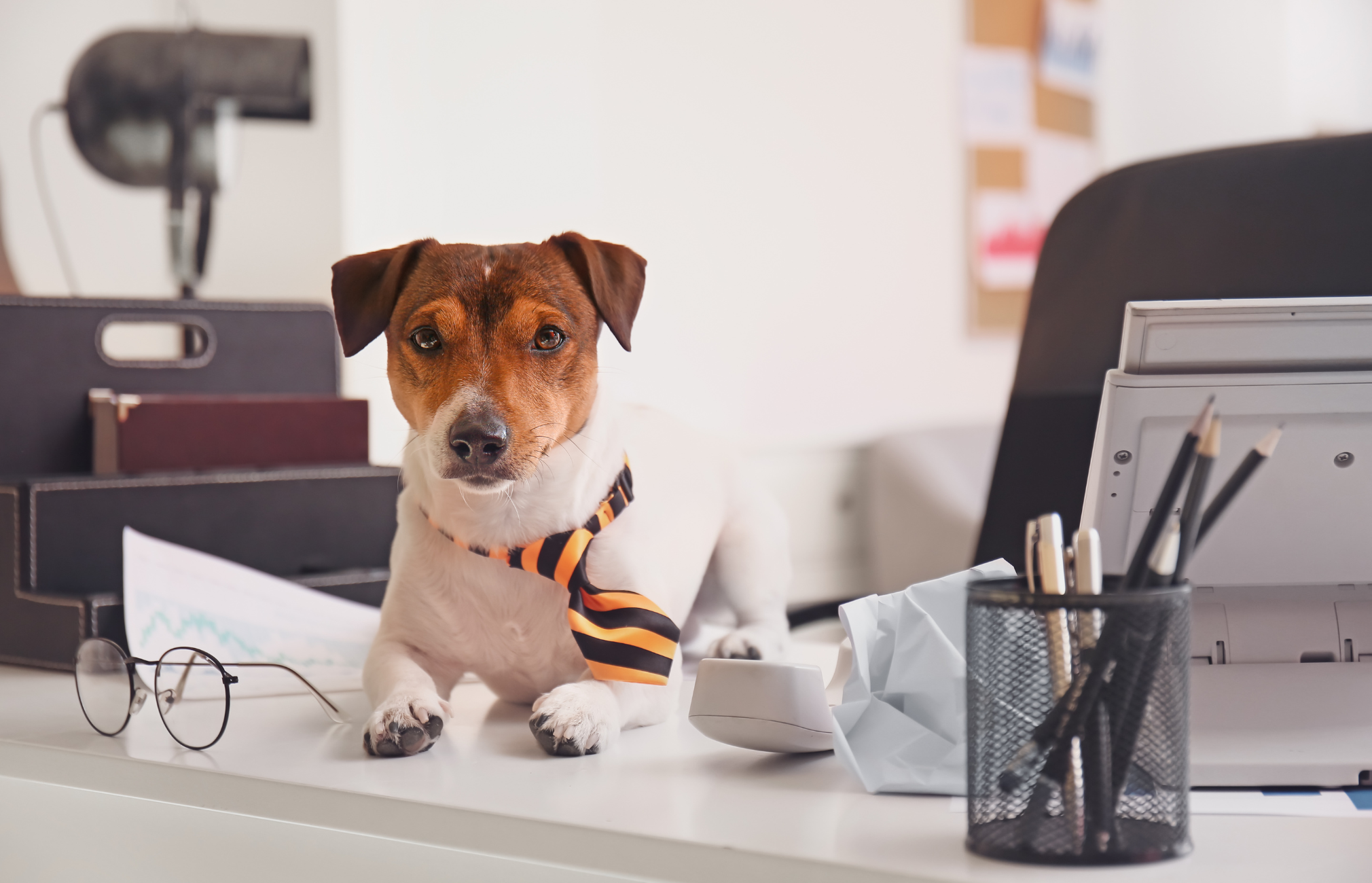 Take Your Pet to Work Week®