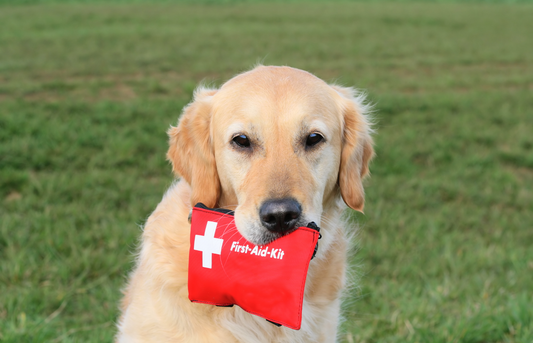 National Pet First Aid Awareness Month