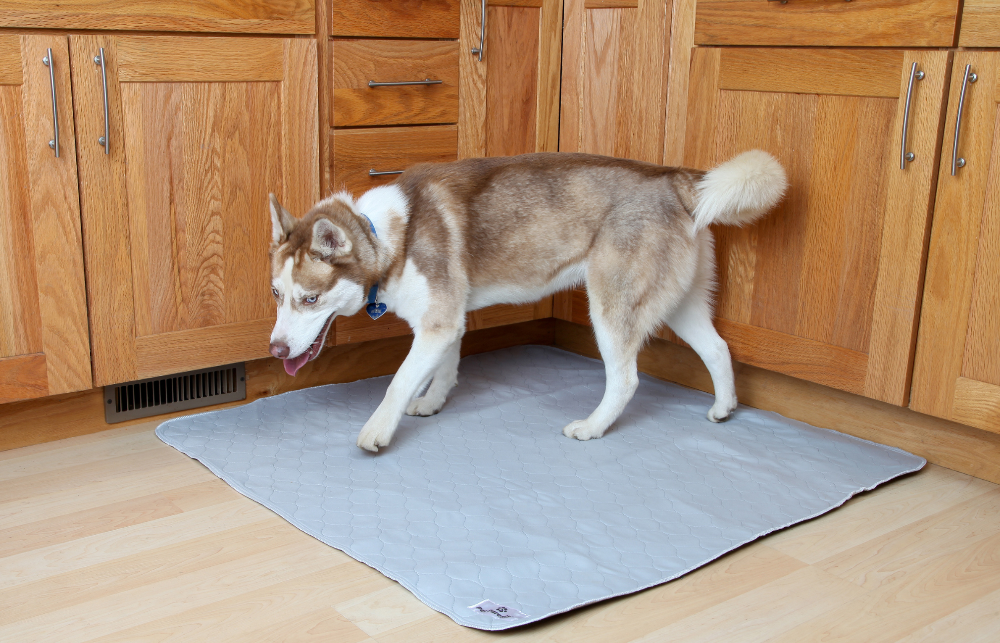 Pads for Indoor Potty Training