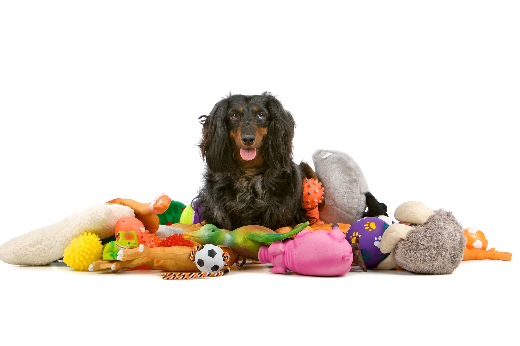 How to Wash Dog Toys
