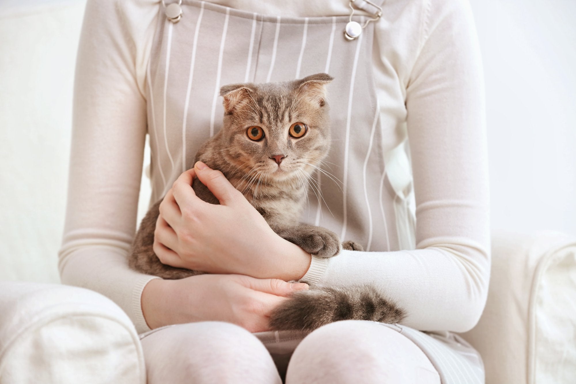 Cat Separation Anxiety Symptoms