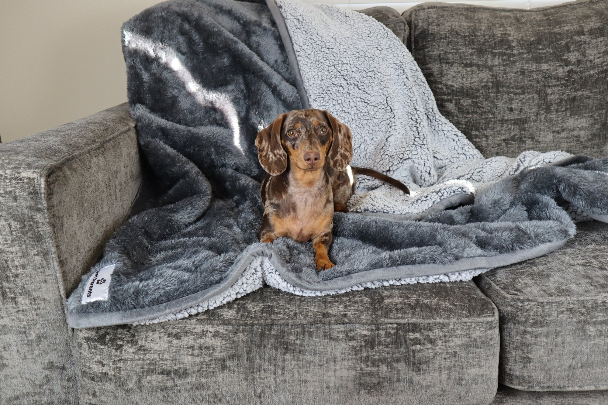 The Many Uses of Pawtect™ Blankets