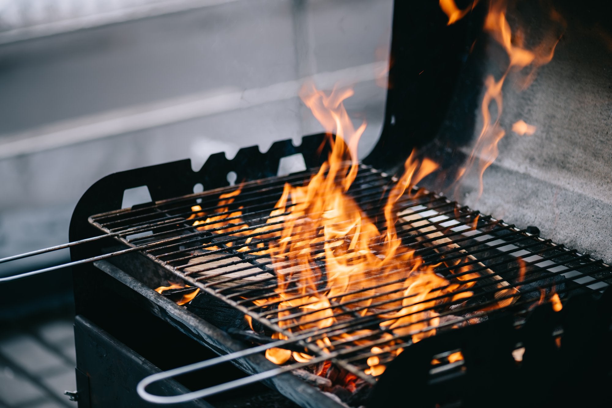 BBQ For Dogs: Summer Barbecue Safety Tips