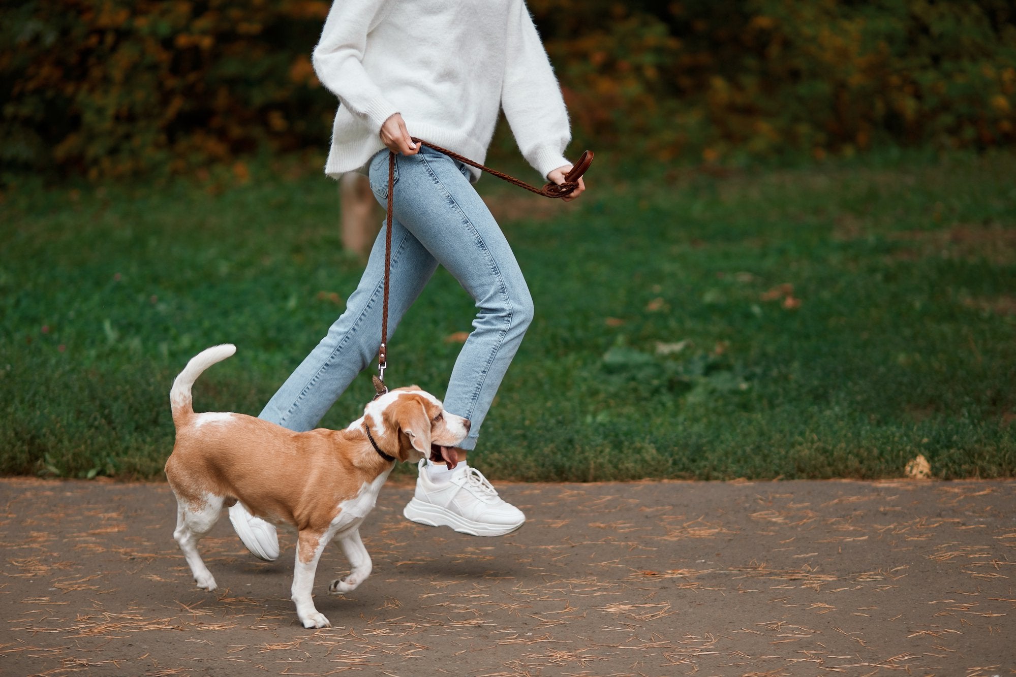 8 Dog Walking Mistakes You Are Making