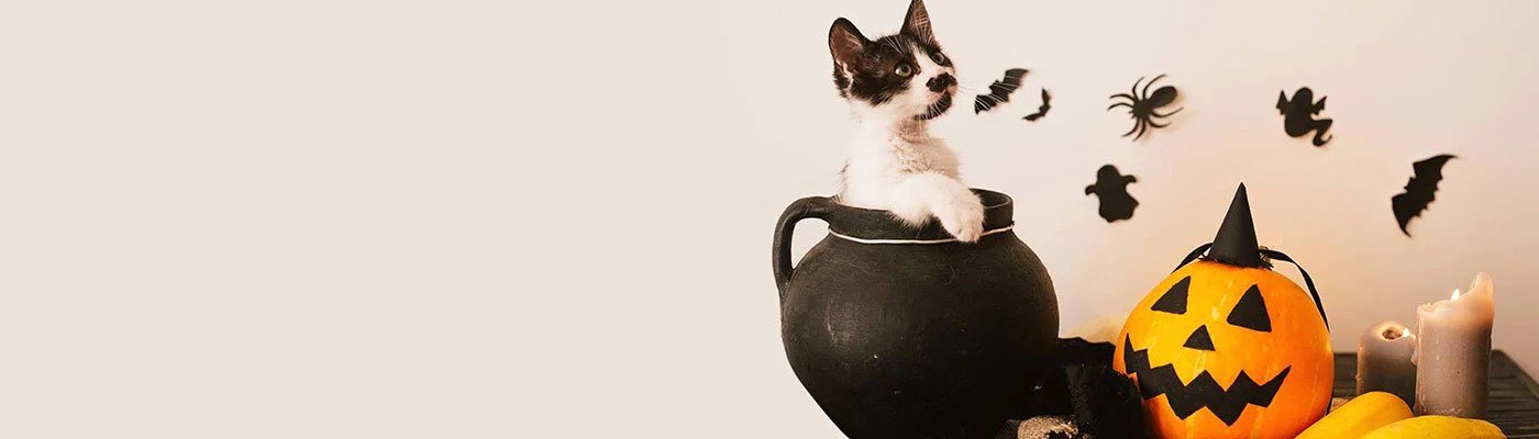 Halloween Safety Tips for your Pets