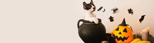 Halloween Safety Tips for your Pets