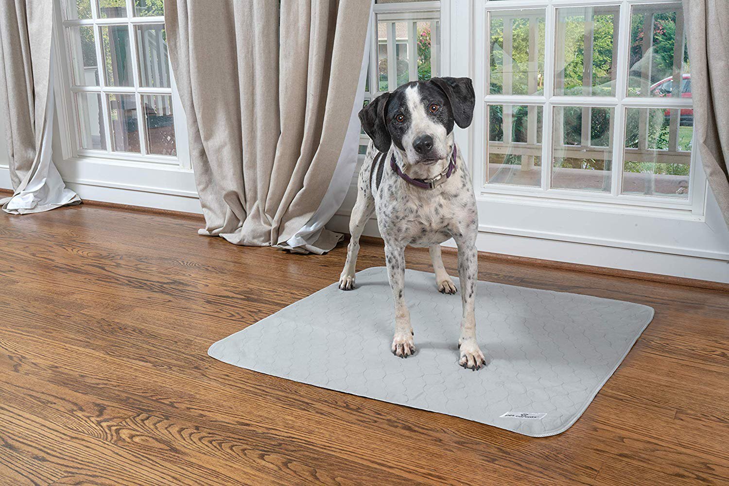 Puppy Pee Pads and How They Make Lives Easier
