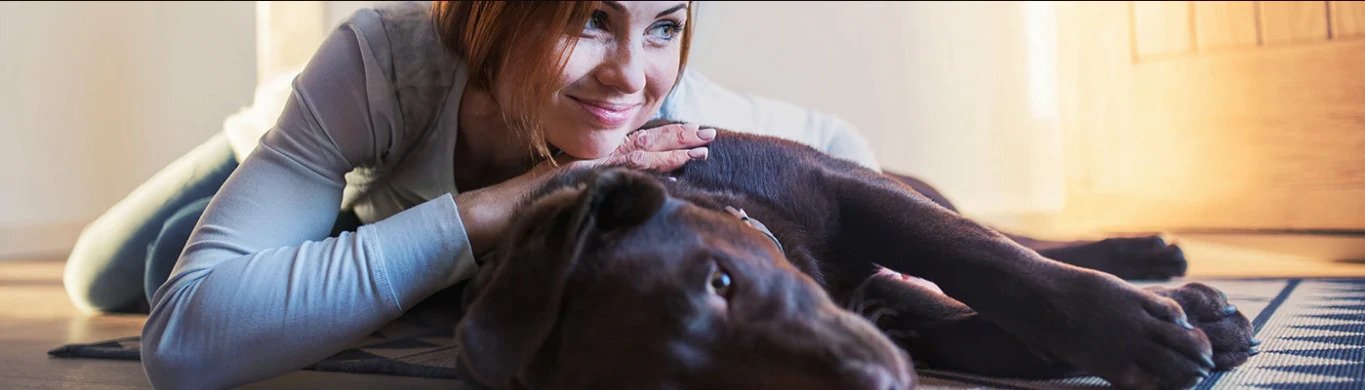 Natural Solutions For Dog Anxiety