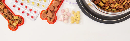 Blog posts The Pet Parents® Guide to Dog Supplements