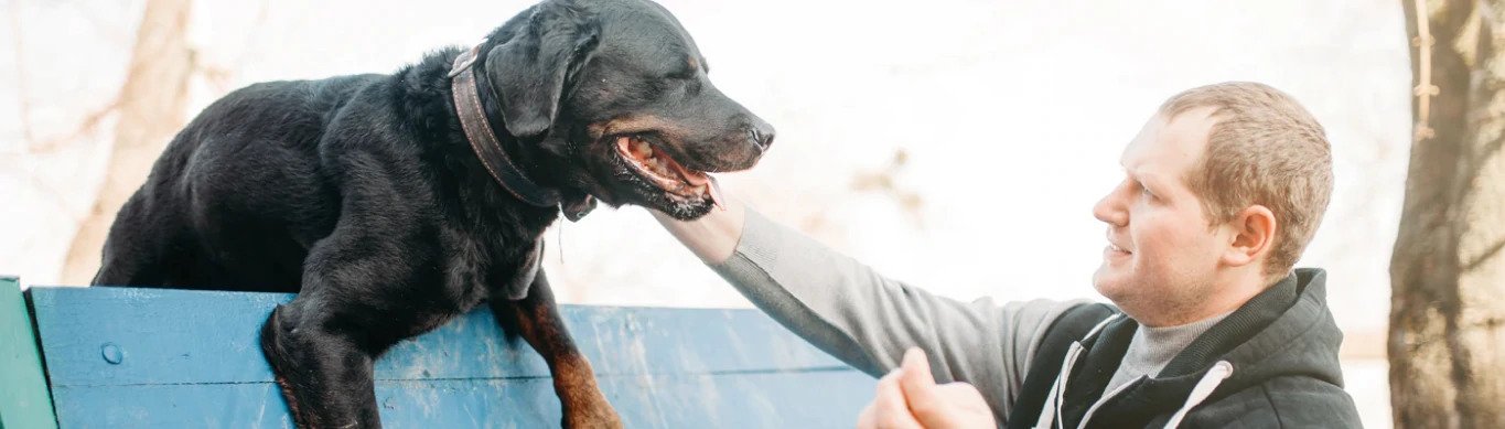 The Pet Parents® Guide to Adopting a Dog